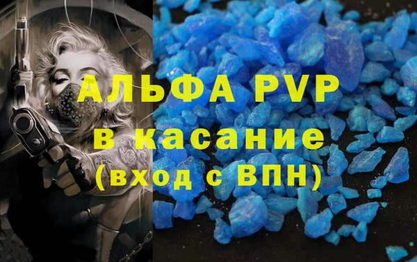 эйфоретик Беломорск