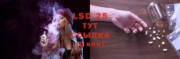 ECSTASY Белокуриха