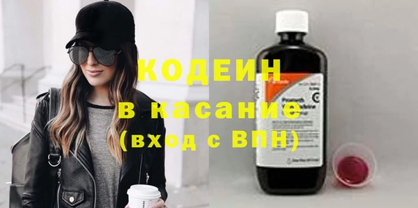 хмурый Кедровый