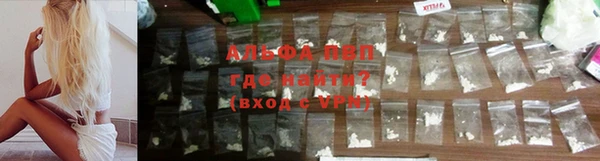 эйфоретик Беломорск