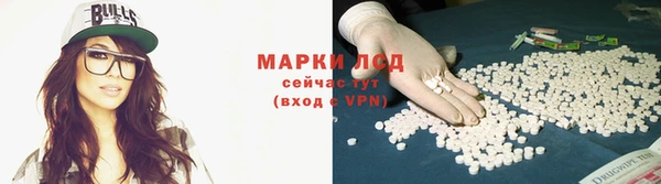 ECSTASY Белокуриха