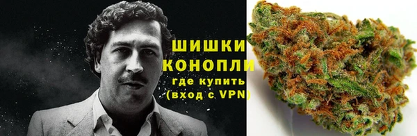 крисы Белоозёрский